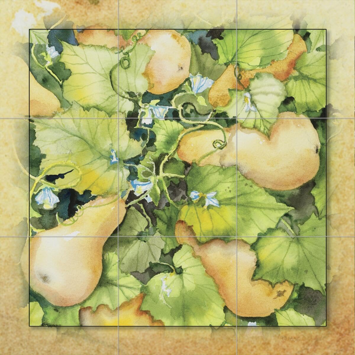 Ceramic Backsplash Tile Mural - Squash Design by Kathleen Parr McKenna - Handmade Fruit & Vegetable Theme for Kitchen & Bathroom Decor - Perfect for Farmhouse, Cottage & Rustic Style Homes