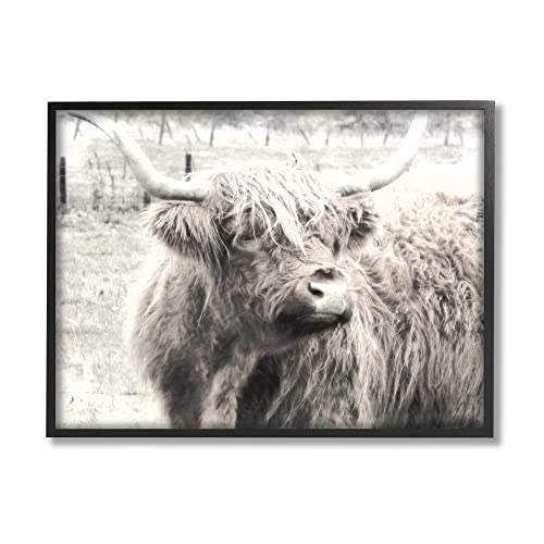 Black Framed