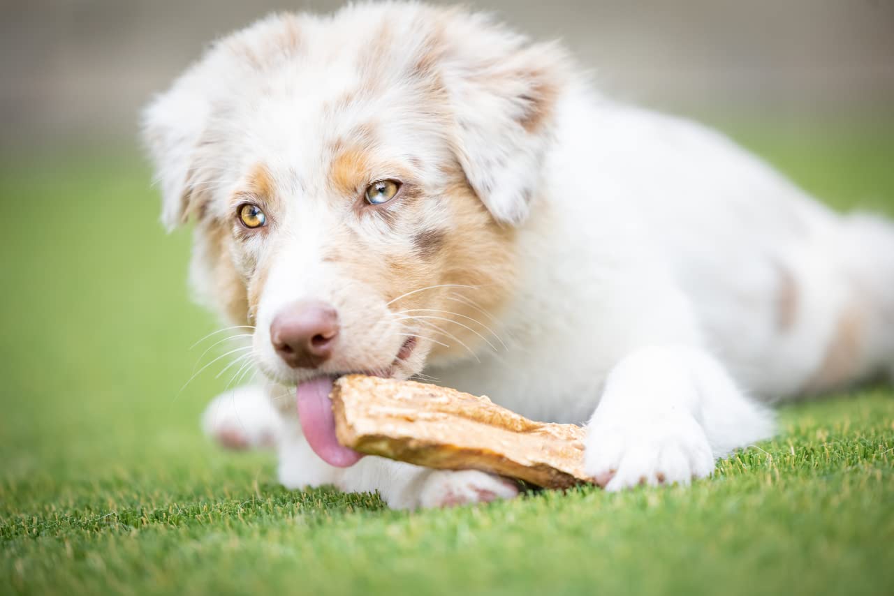 Premium Beef Cheek Chips for Dogs - 2