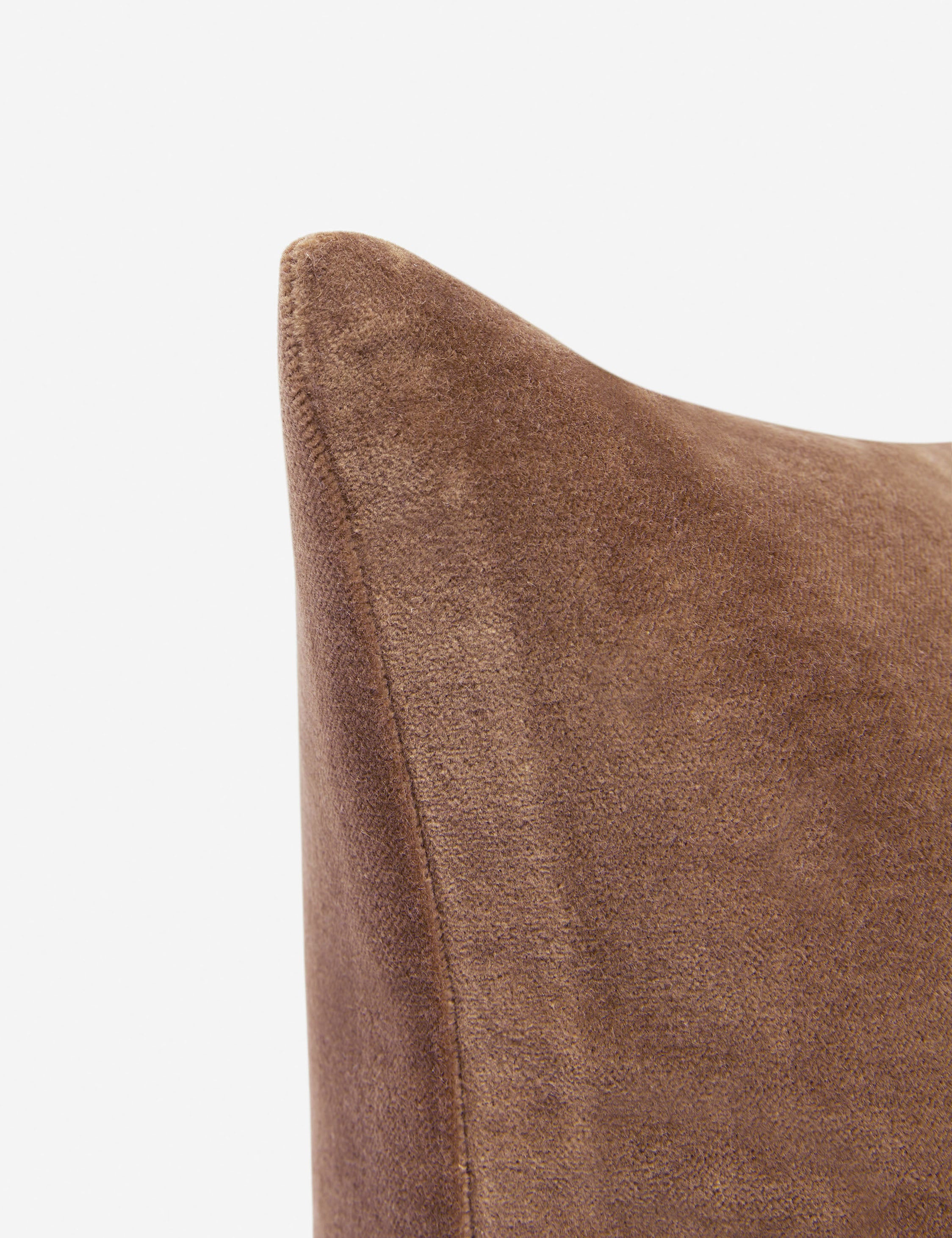 Charlotte Velvet Pillow - Soft Luxury Decorative Throw Pillow for Sofa, Bed & Couch - Perfect for Living Room, Bedroom & Home Decor