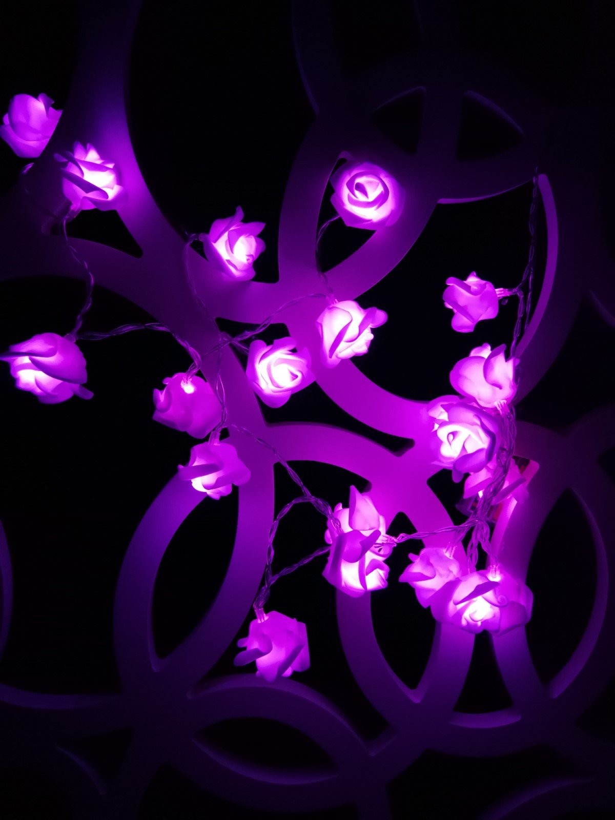 Fantasee Purple LED Rose Flower String Lights - 6.6ft 20 LEDs Battery Operated Fairy Lights for Wedding, Proposal, Home Decor, Party & Outdoor Decorations | Romantic Ambiance for Bedroom, Garden & Special Events