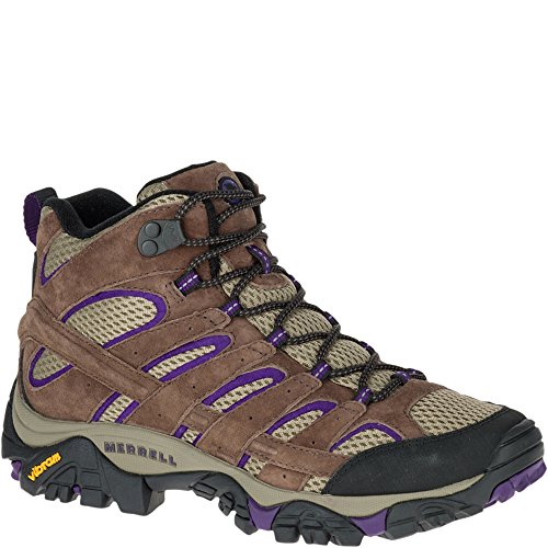 Bracken/Purple