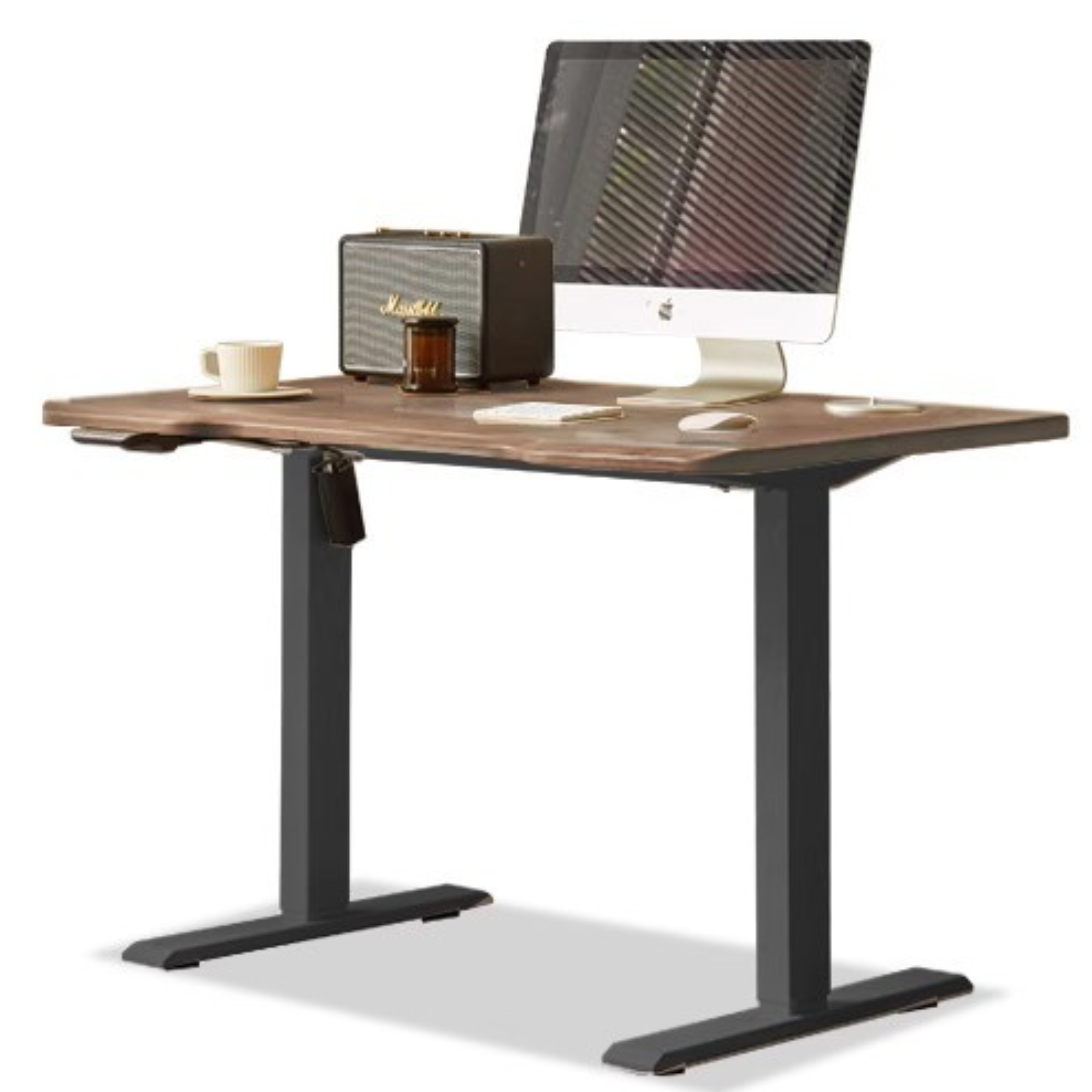 Black Walnut Solid Wood Electric Standing Desk - Adjustable Height Office Desk for Home & Workspace - Perfect for Remote Work, Gaming, and Ergonomic Comfort