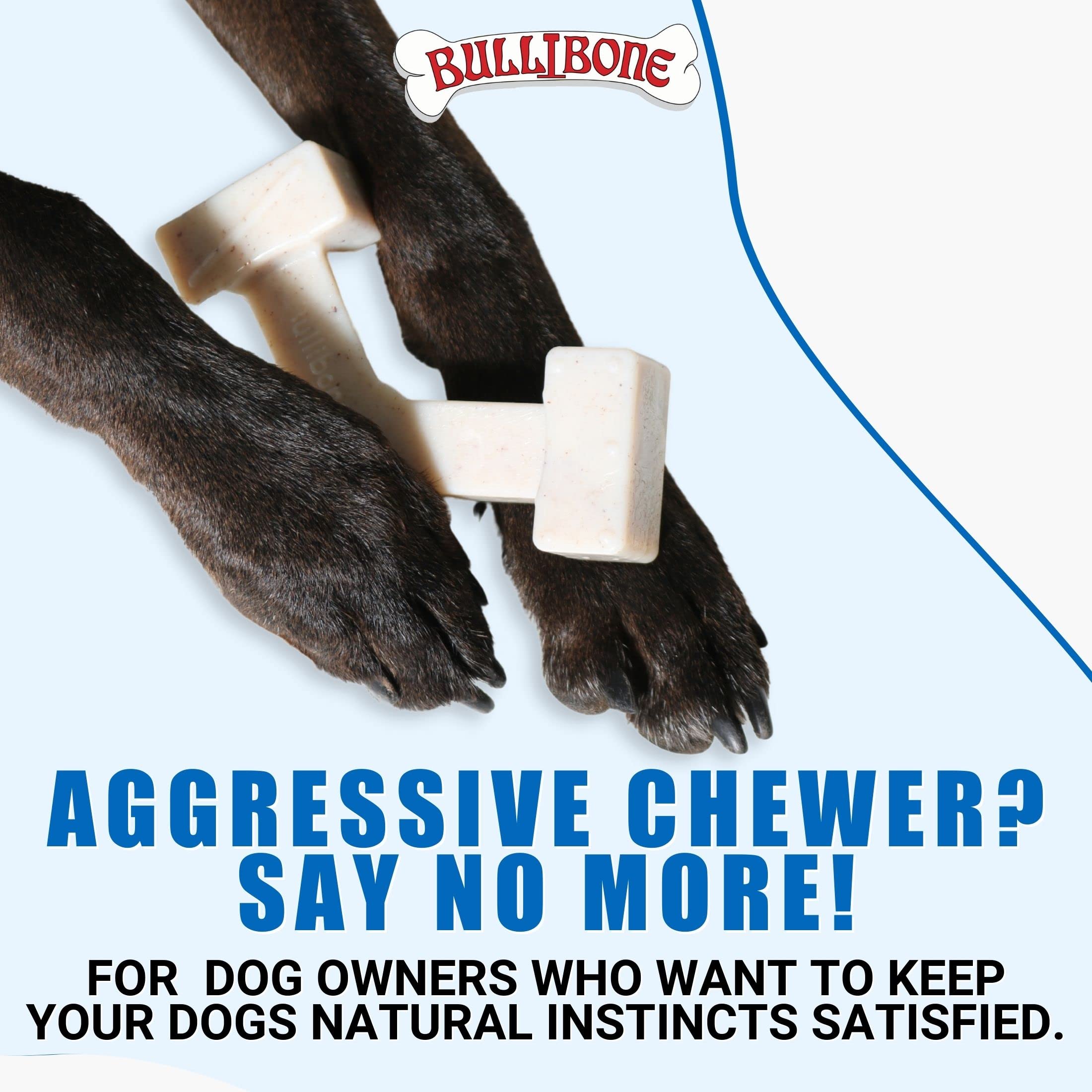 Bullibone Nylon Dog Chew Toy - Interactive Spin-a-Bone Chewing Toy for Dogs, Promotes Dental Health & Natural Instincts | Perfect for Aggressive Chewers, Teething Puppies & Boredom Relief