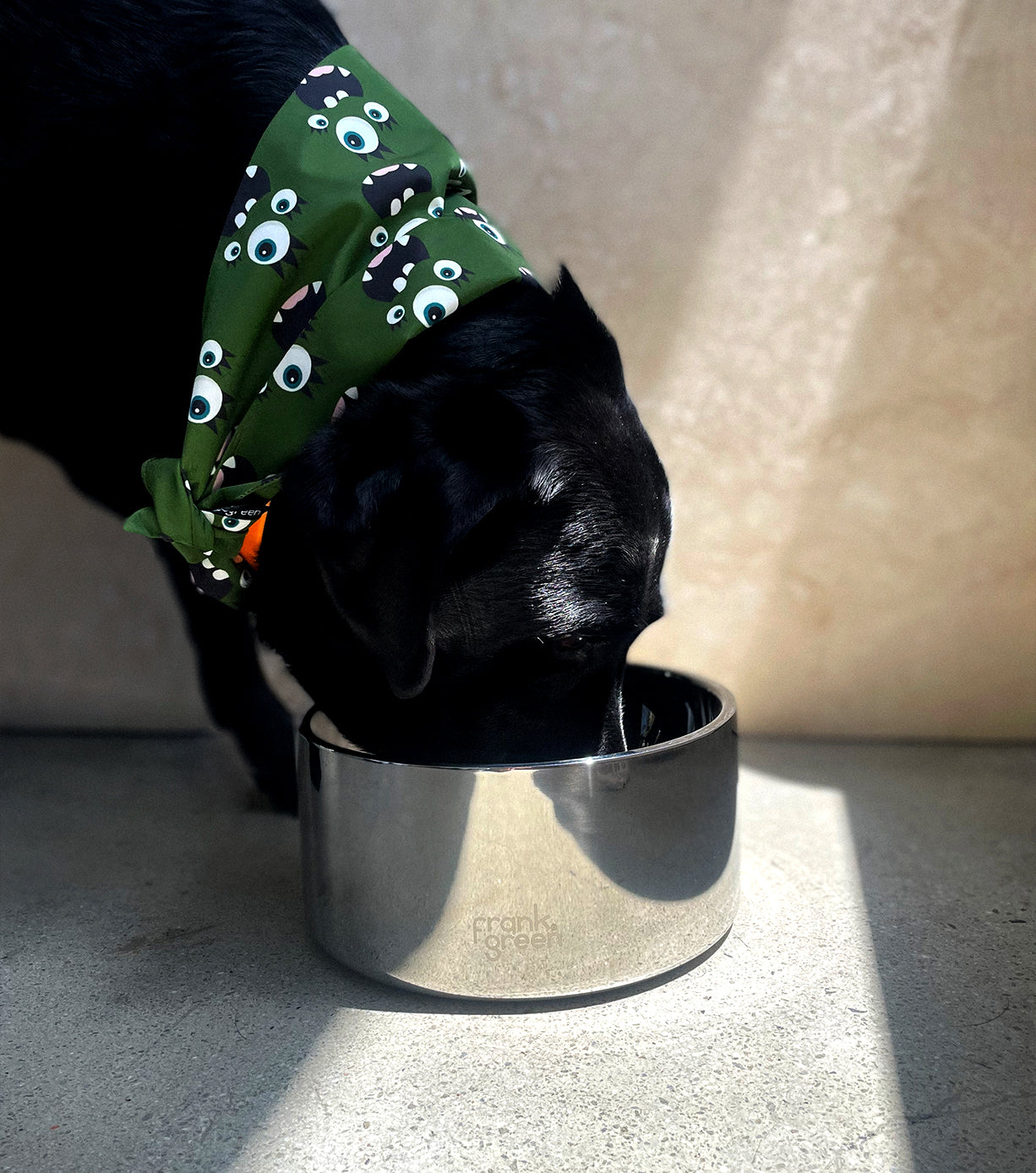 Premium Stainless Steel Dog Bowl - Medium Size, Non-Slip Pet Food & Water Dish for Large Breeds - Ideal for Home, Travel & Outdoor Use