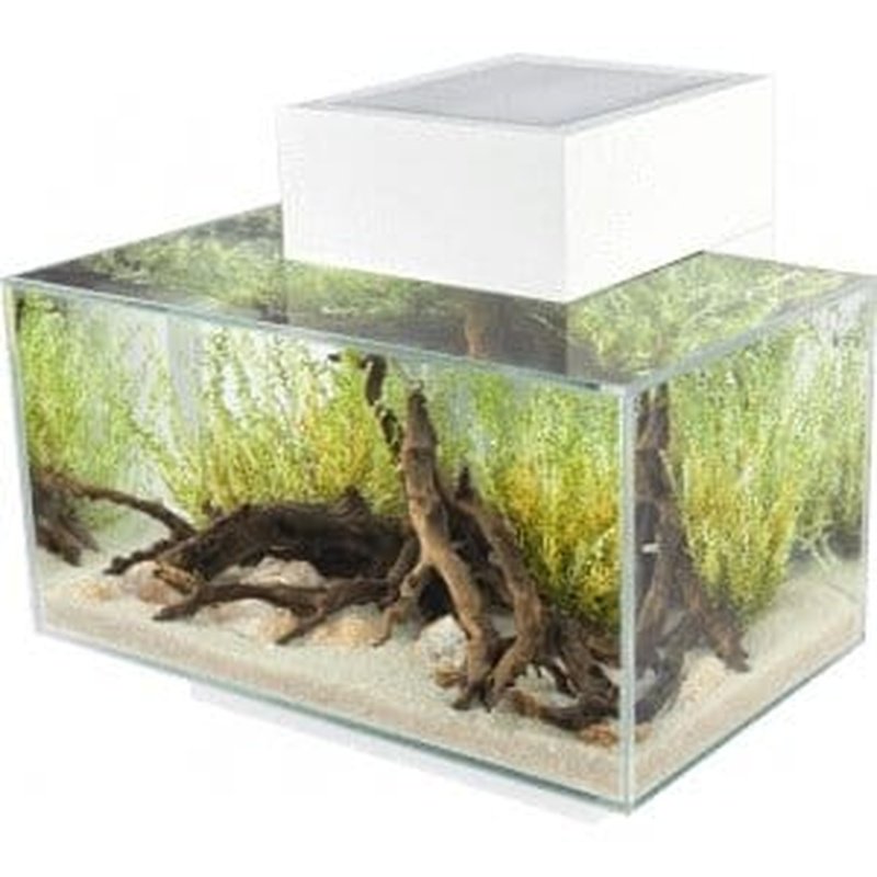 Fluval EDGE 2.0 LED Aquarium Kit - 6 Gallon (23L) Modern Fish Tank with White Finish - Perfect for Home, Office, or Classroom Aquascaping