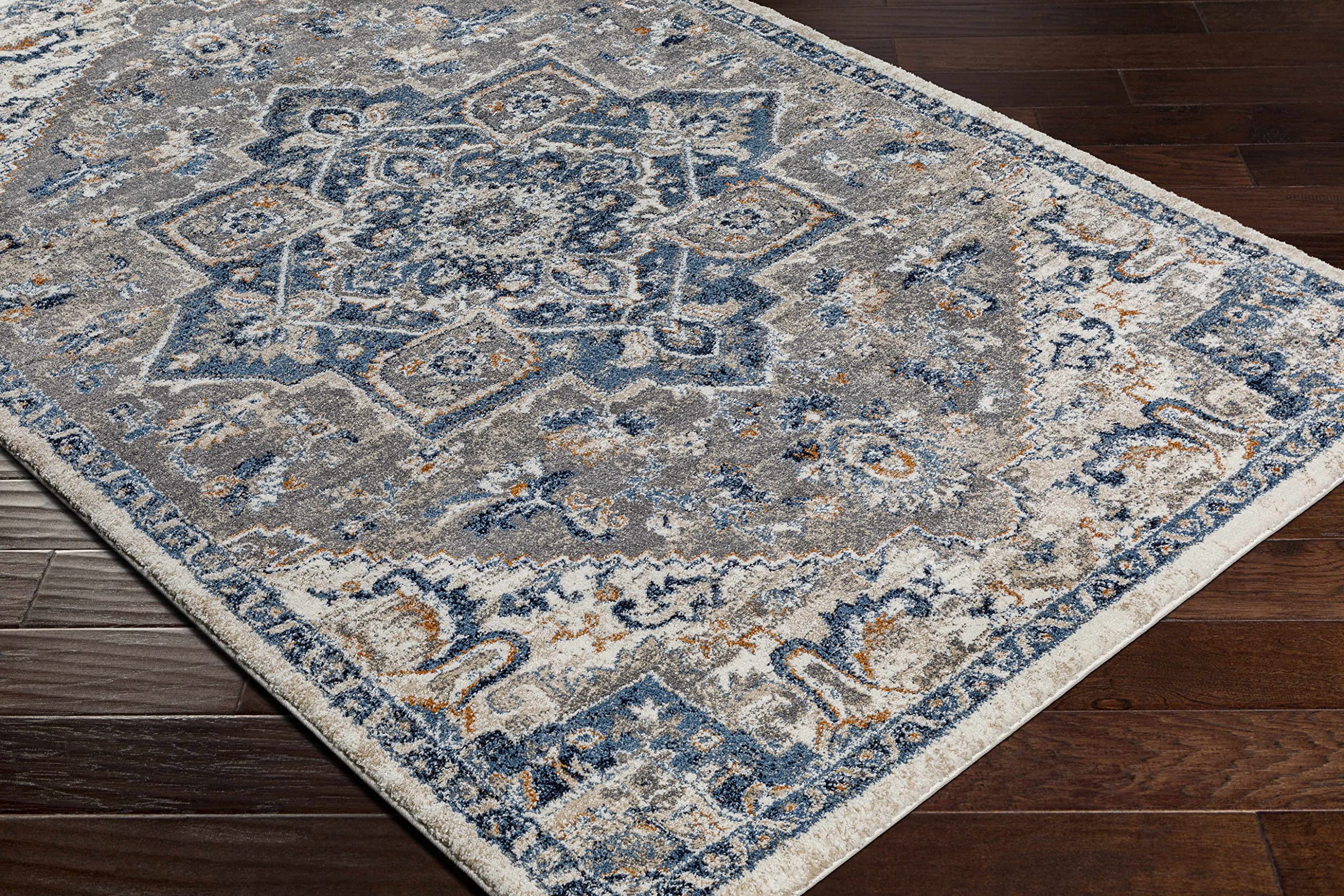 Luxury Hauteloom Taligaman Shaggy Area Rug - Soft High Pile Living Room & Bedroom Carpet - Blue & Beige 7'10