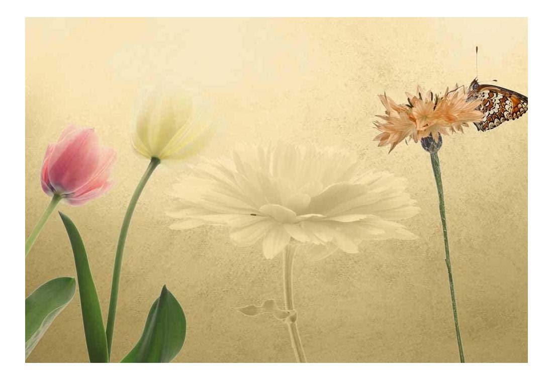 Wall26 Self-Adhesive Wallpaper - Tulips and Butterfly Floral Design with Copper Textured Background, Large Wall Mural 66x96 Inches - Perfect for Living Room, Bedroom, or Office Decor