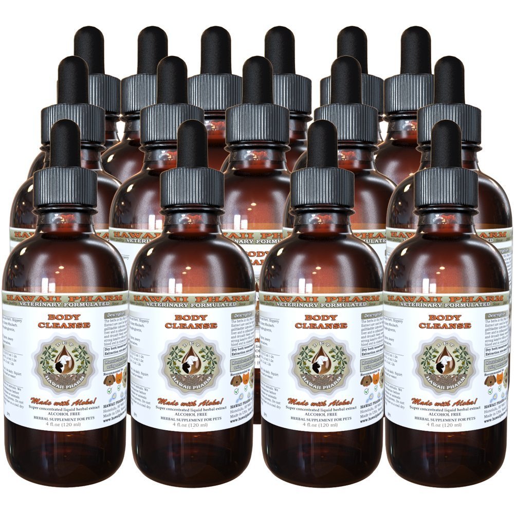 Natural Alcohol-Free Pet Herbal Supplement - Veterinary Body Cleanse Liquid Extract (15x4 oz) for Digestive Support & Detox in Dogs & Cats