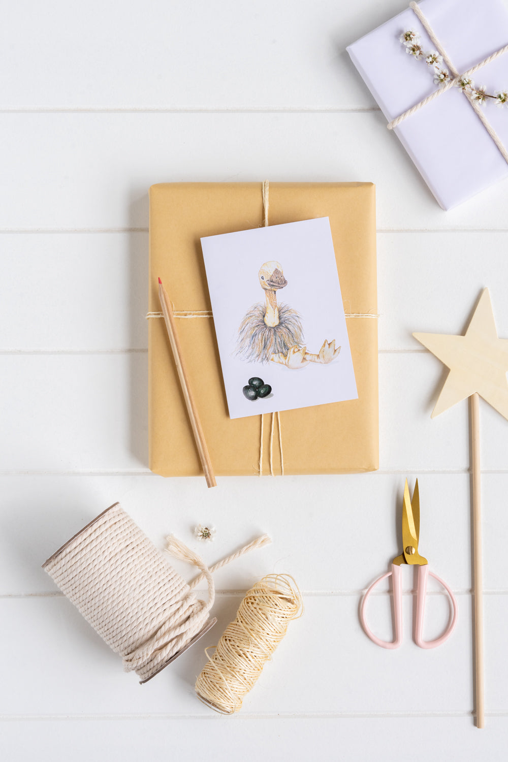 Eddie the Emu Gift Card - Perfect for Birthdays, Holidays & Special Occasions | Digital & Printable Gift Card for Friends & Family