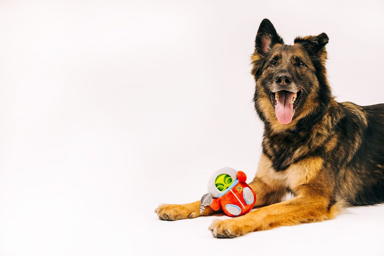 P.L.A.Y Alien Buddies Interactive 2-in-1 Dog Toys - Astro Explorer Space-Themed Chew & Fetch Toy for Small to Medium Dogs - Perfect for Indoor Play & Outdoor Adventures