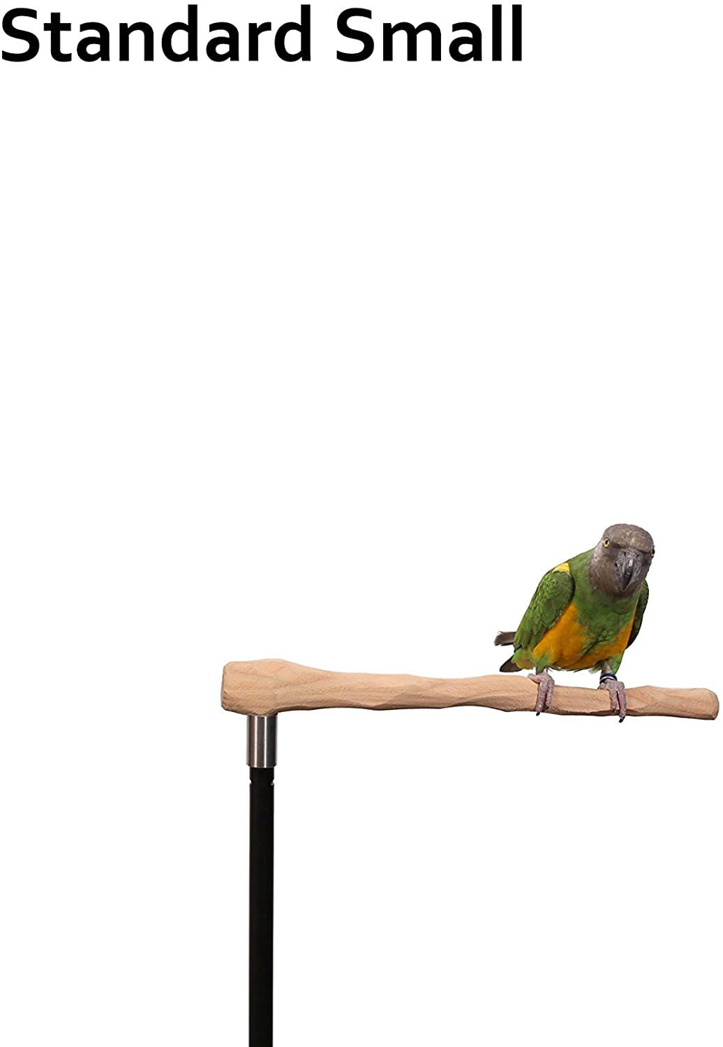 Parrot Training Perch Kit - Small Standard Size Bird Stand for Parakeets, Cockatiels & Lovebirds - Perfect for Training, Grooming & Playtime at Home