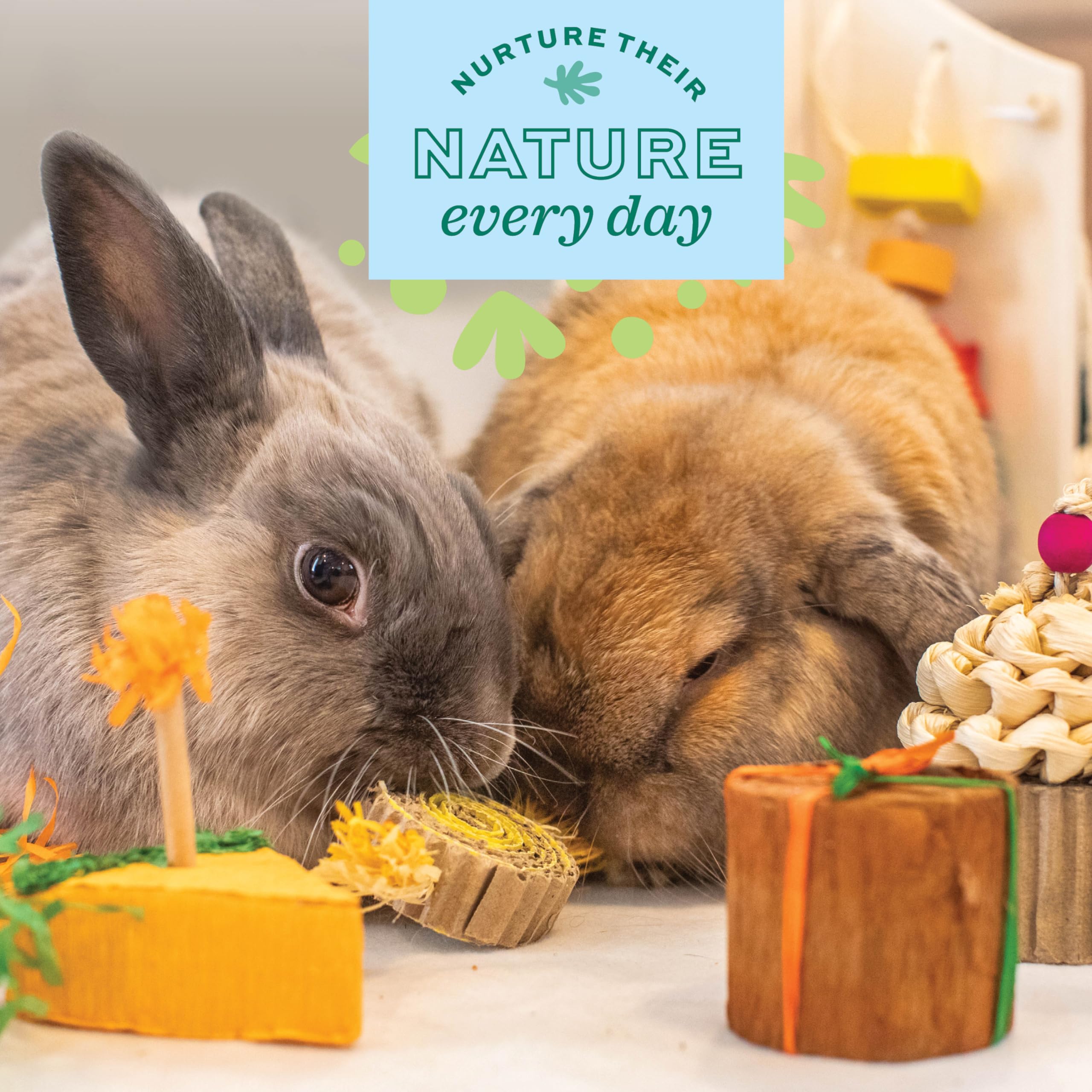 Oxbow Enriched Life Birthday Party Pack - Fun Rabbit Toys & Guinea Pig Toys for Small Pets - Bunny, Hamster, Chinchilla & Rat Cage Accessories - Perfect for Playtime, Enrichment & Special Occasions