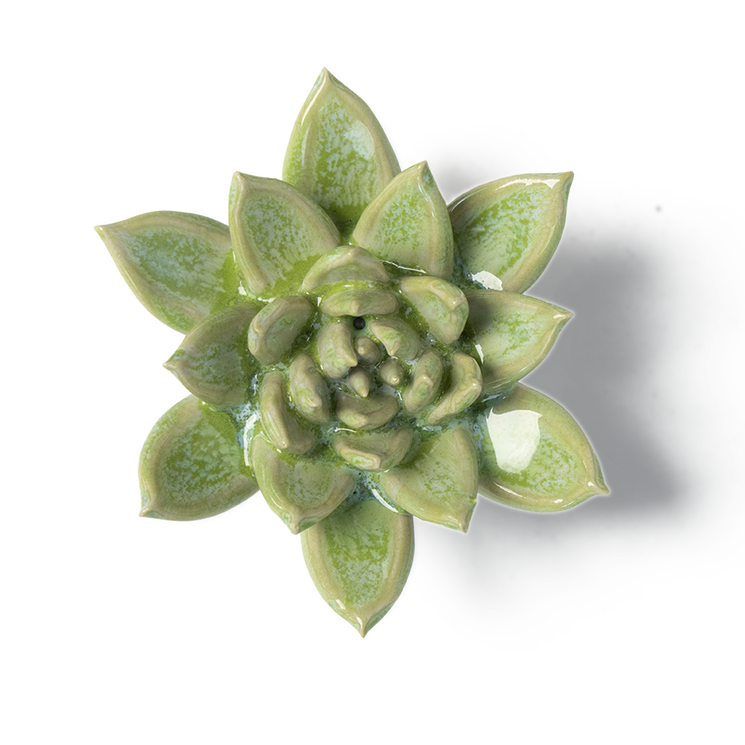 Japanese Ceramic Flower Pot for Succulents - Elegant Green Planter for Home, Office, and Garden Decor