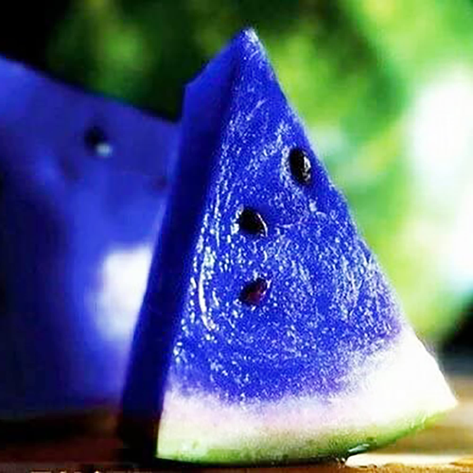 100 Rare Blue Watermelon Seeds for Planting - Sweet, Juicy, Non-GMO Heirloom Fruit Seeds | Easy to Grow Delicious Fruit for Home Garden & Outdoor Farming | Perfect for Fresh Eating, Juicing, and Summer Picnics