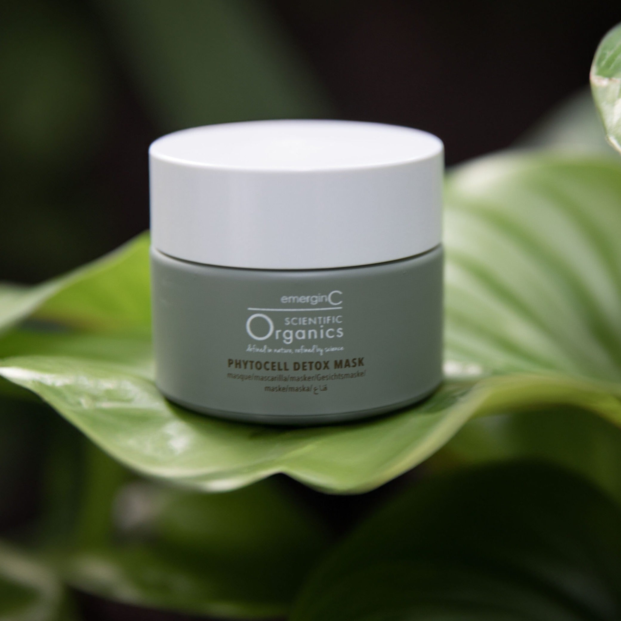 EmerginC Organics Phytocell Detox Mask - Organic Facial Mask for Deep Cleansing & Pore Refining | Detoxifying & Brightening Skin Care | Perfect for Spa Nights & Pre-Event Glow