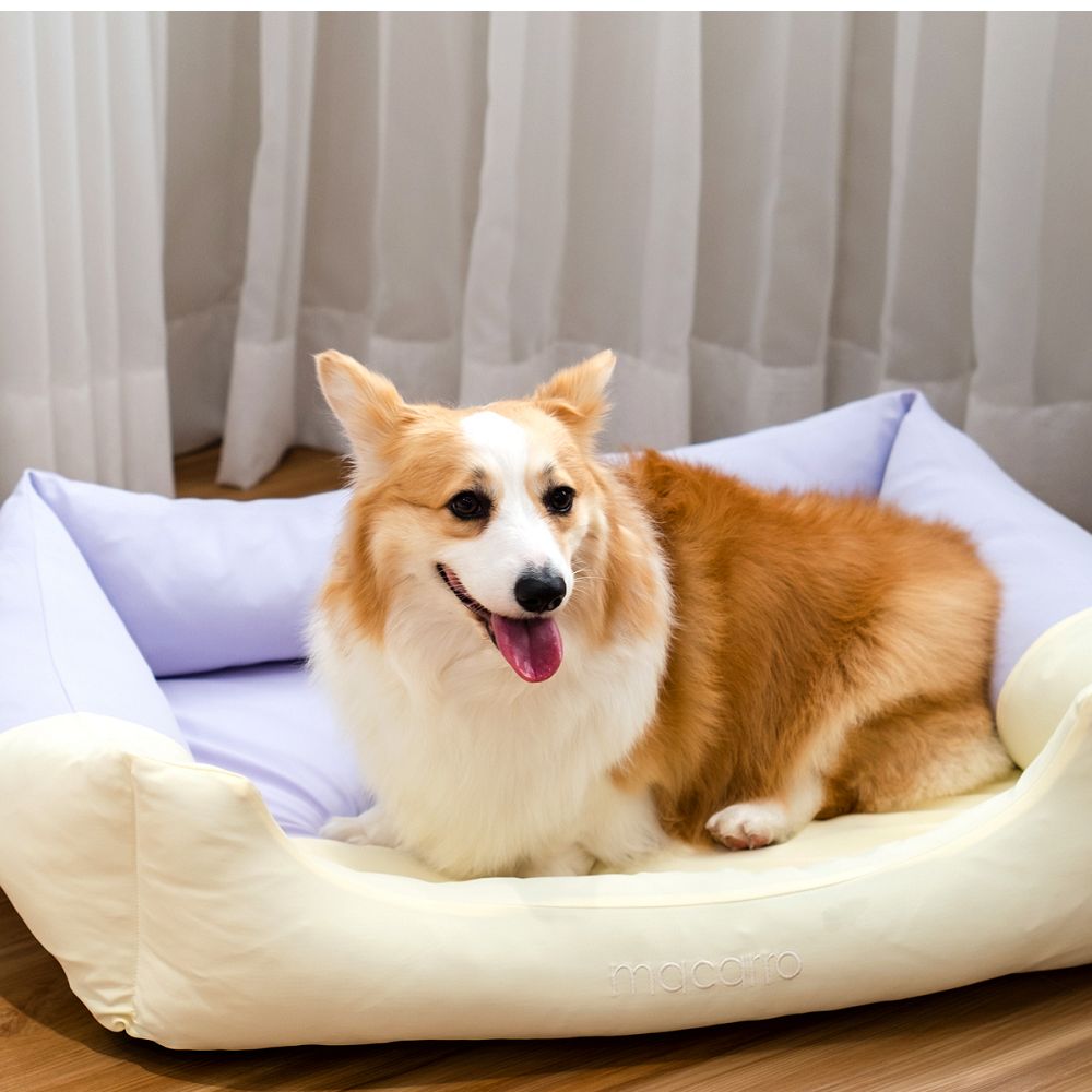 Cooling Latex Pet Bed for Dogs & Cats – Breathable & Comfortable for Hot Weather, Perfect for Summer Napping & Relaxation