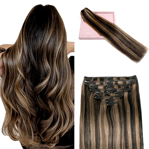 #P1B/6 Natural Black to Chestnut Brown