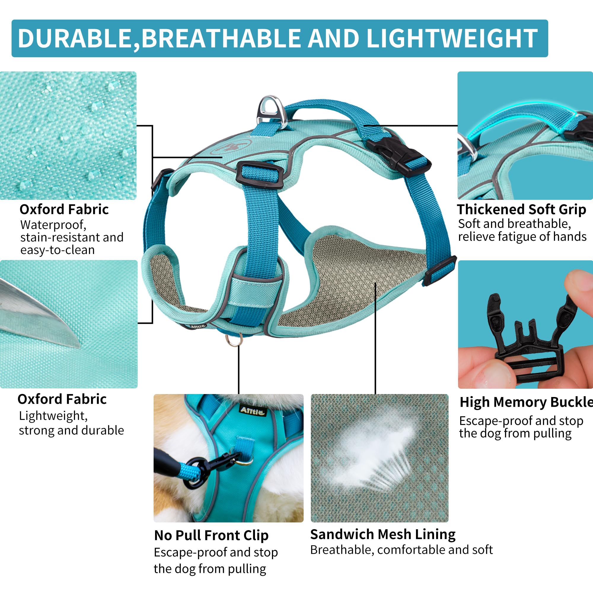 Durable No-Pull Dog Harness & Leash Set with Safety Memory Buckle - Adjustable Breathable Reflective Vest for Extra Small Dogs (XXS, Blue) - Perfect for Outdoor Walks, Hiking & Nighttime Safety