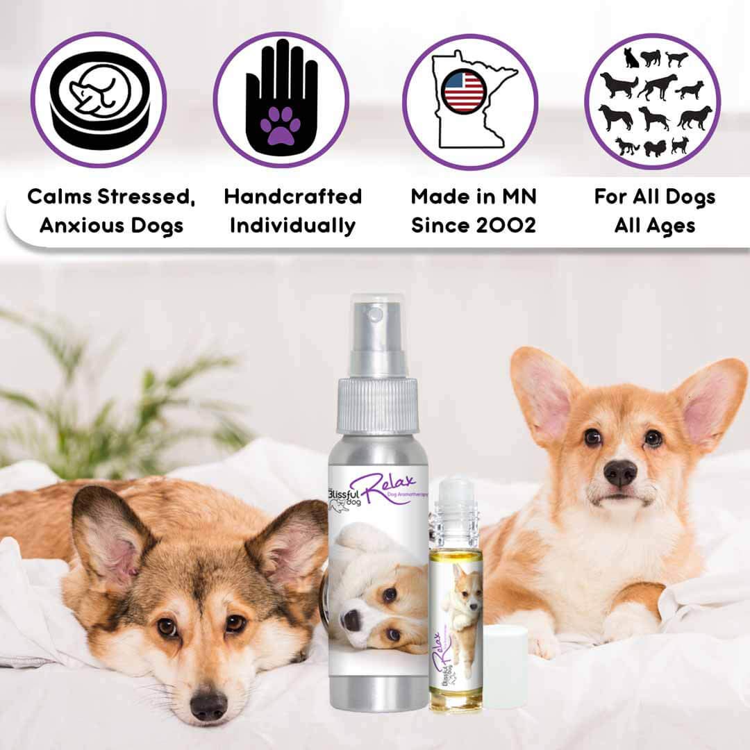 The Blissful Dog Corgi Relax Aromatherapy Spray for Dog Anxiety Relief - Calming Scent for Stress, Travel & Vet Visits