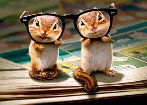 Funny Birthday Card with Chipmunks Wearing Thick Glasses - Perfect for Animal Lovers & Humor Enthusiasts - Great for Birthdays, Anniversaries & Gag Gifts