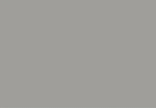 Colorcrete - Premium Concrete Pigment for DIY Projects & Professional Use - Perfect for Driveways, Patios & Floors