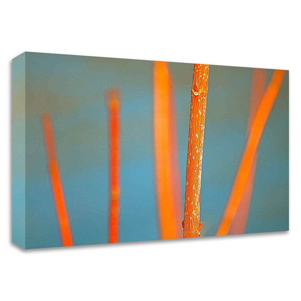 Along the River No. 5 by Ulpi Gonzalez - Premium Canvas Art Print - Framed & Ready to Hang - Perfect for Living Room, Bedroom or Office Wall Decor