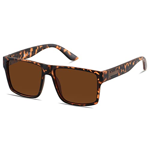 Matte Tortoise | Polarized Lens