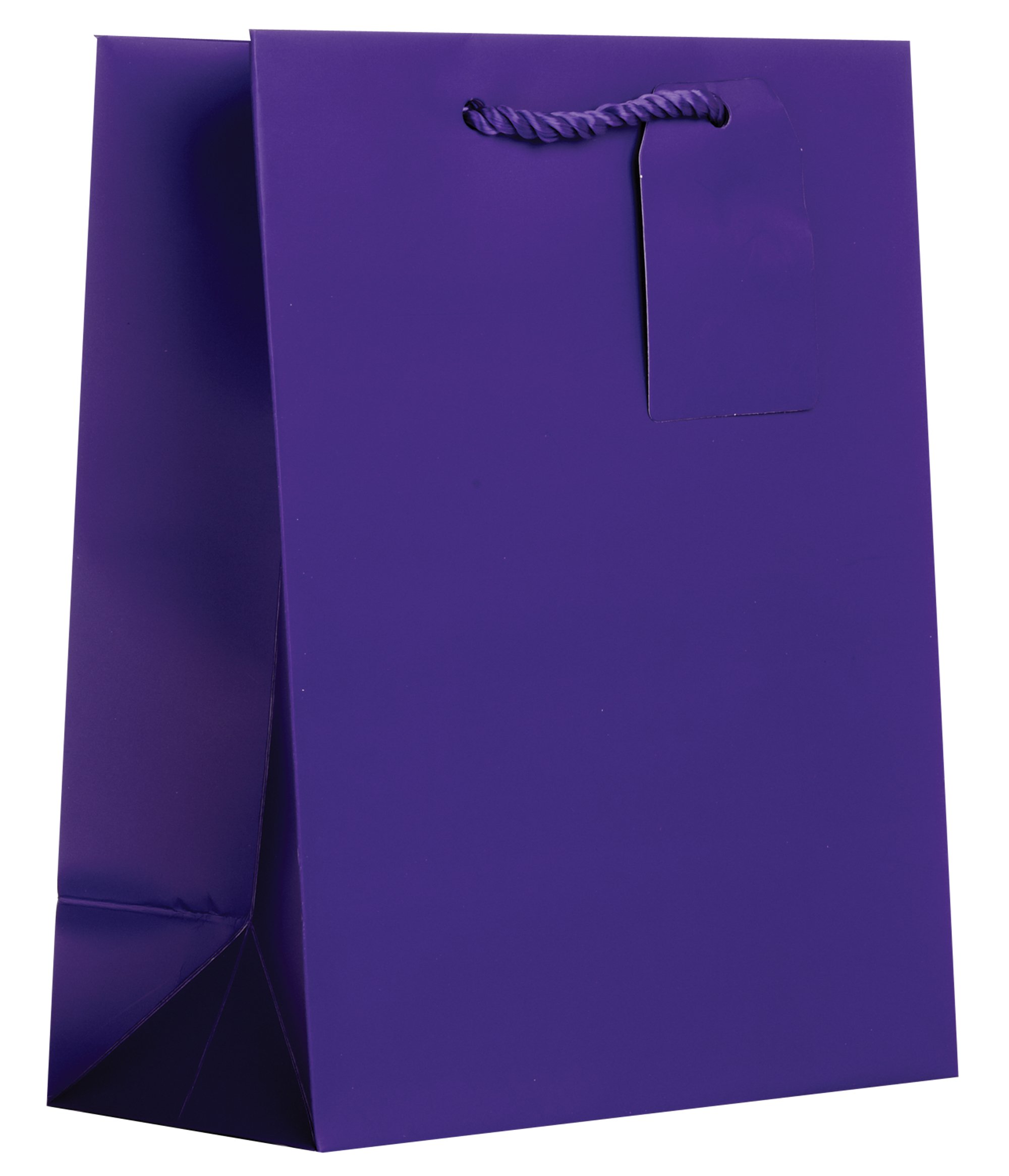 Jillson Roberts Bulk Medium Gift Bags - 19 Colors Including Purple Matte, 120 Count (BMT903) - Perfect for Birthday Parties, Baby Showers & Wedding Favors