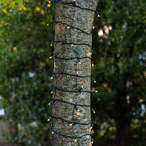 LED Christmas Tree Wrap Lights - 100 Warm White Lights for Outdoor Decor