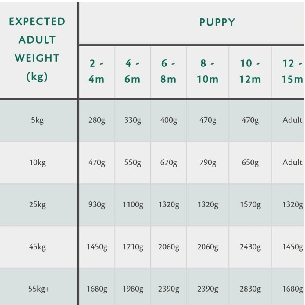 Premium 80% Gourmet Sausage Fresh Lamb Wet Dog Food - High Protein Grain-Free Recipe for Puppies & Adult Dogs - Perfect for Training Treats & Mealtime Toppers