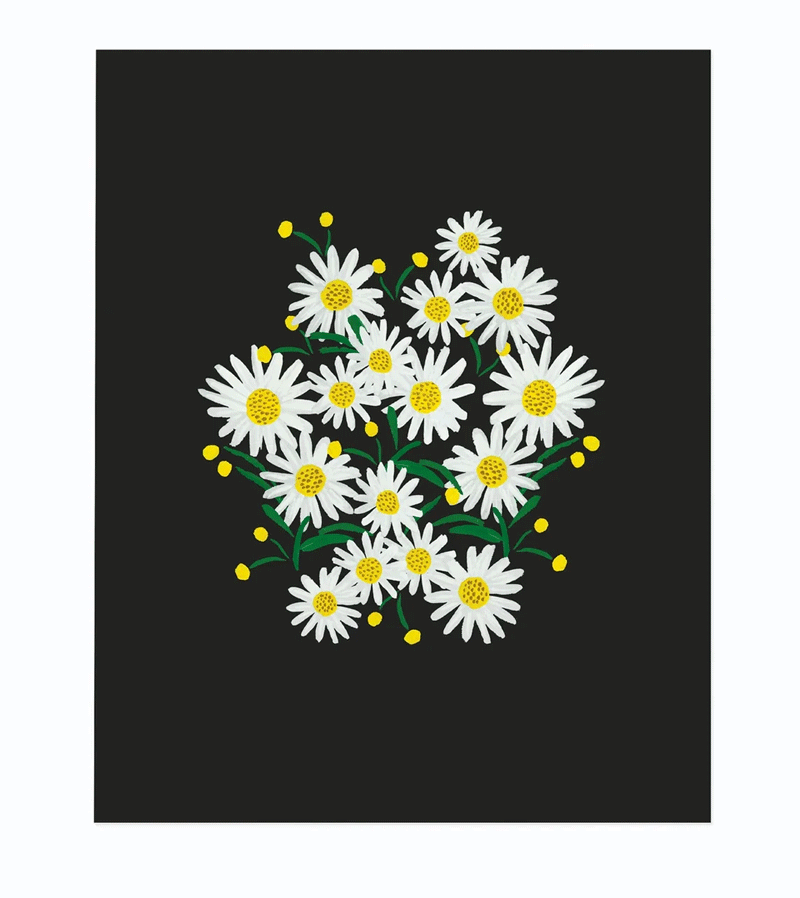 Rifle Paper Co. Daisies Charcoal Art Print - 8x10 Inches Framed Floral Wall Decor for Living Room, Bedroom & Office