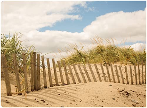 Beach Dunes I