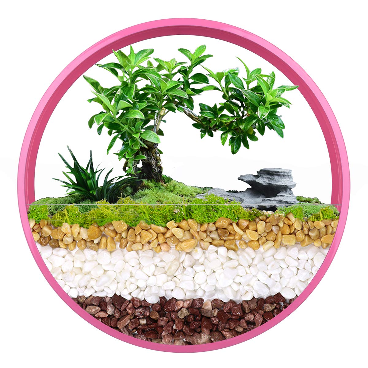 Ecosides 12