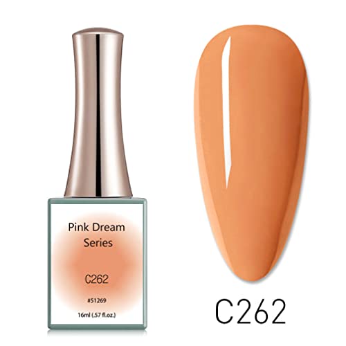 C262
