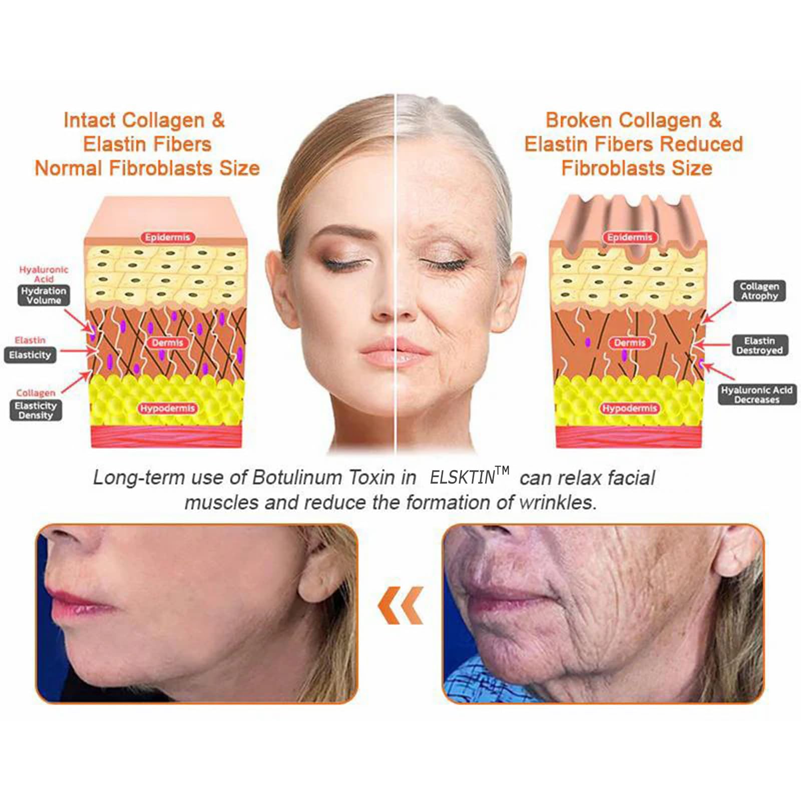 Botox Bee Venom Firming Serum Stick with Collagen Peptides - Instant Wrinkle Removal & Long-Lasting Skin Tightening for Mature Skin - Fragrance Free Anti-Aging Face Serum (3 Pack) - Perfect for Daily Skincare Routine & Nighttime Anti-Wrinkle Treatment