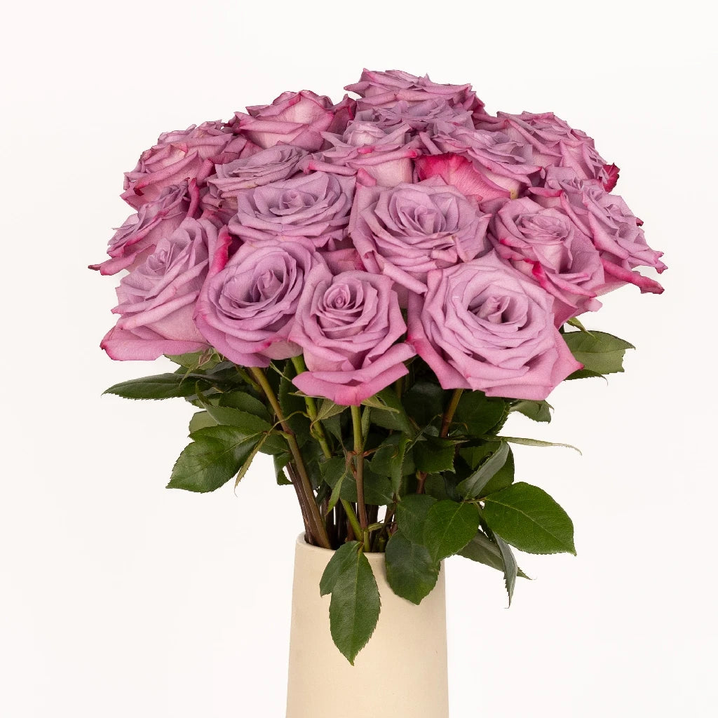 Antique Mauve Fresh Cut Roses - Premium Long Stem Roses for Weddings, Anniversaries, and Home Decor | Perfect for Bouquets, Centerpieces, and Romantic Gifts