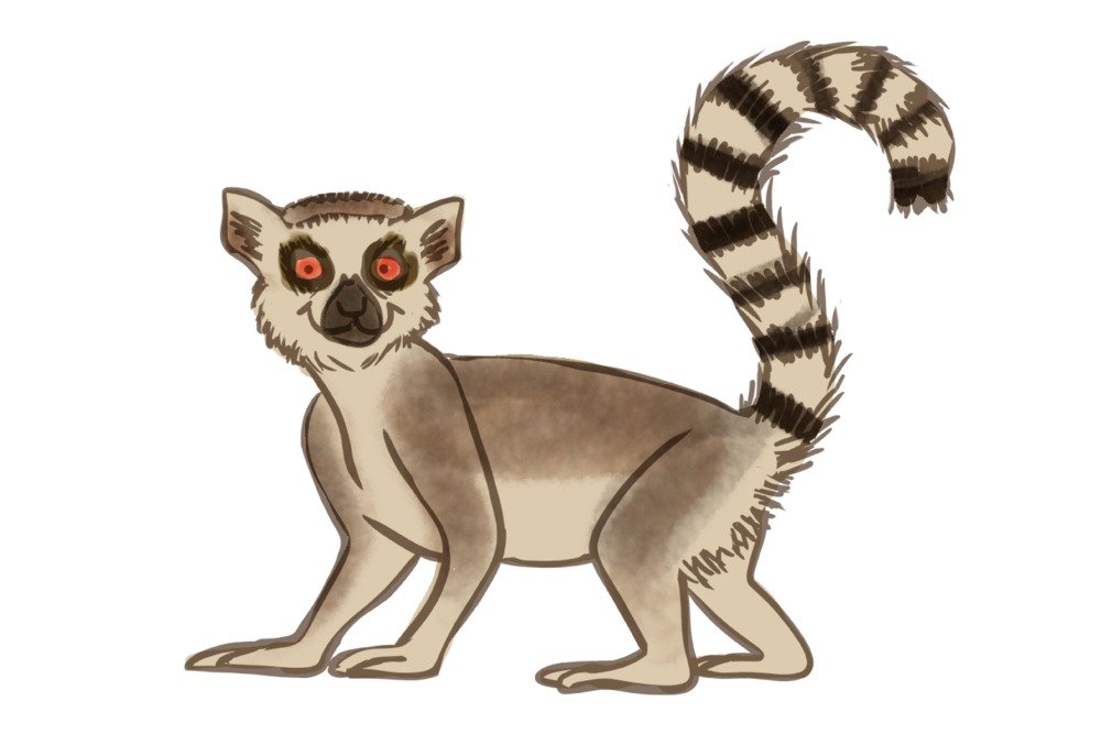 Lantern Press Lemur Soft Cartoon Art Print - 16x24 Wrapped Canvas Wall Decor for Living Room, Bedroom & Office | Cute Animal Painting for Home Decoration