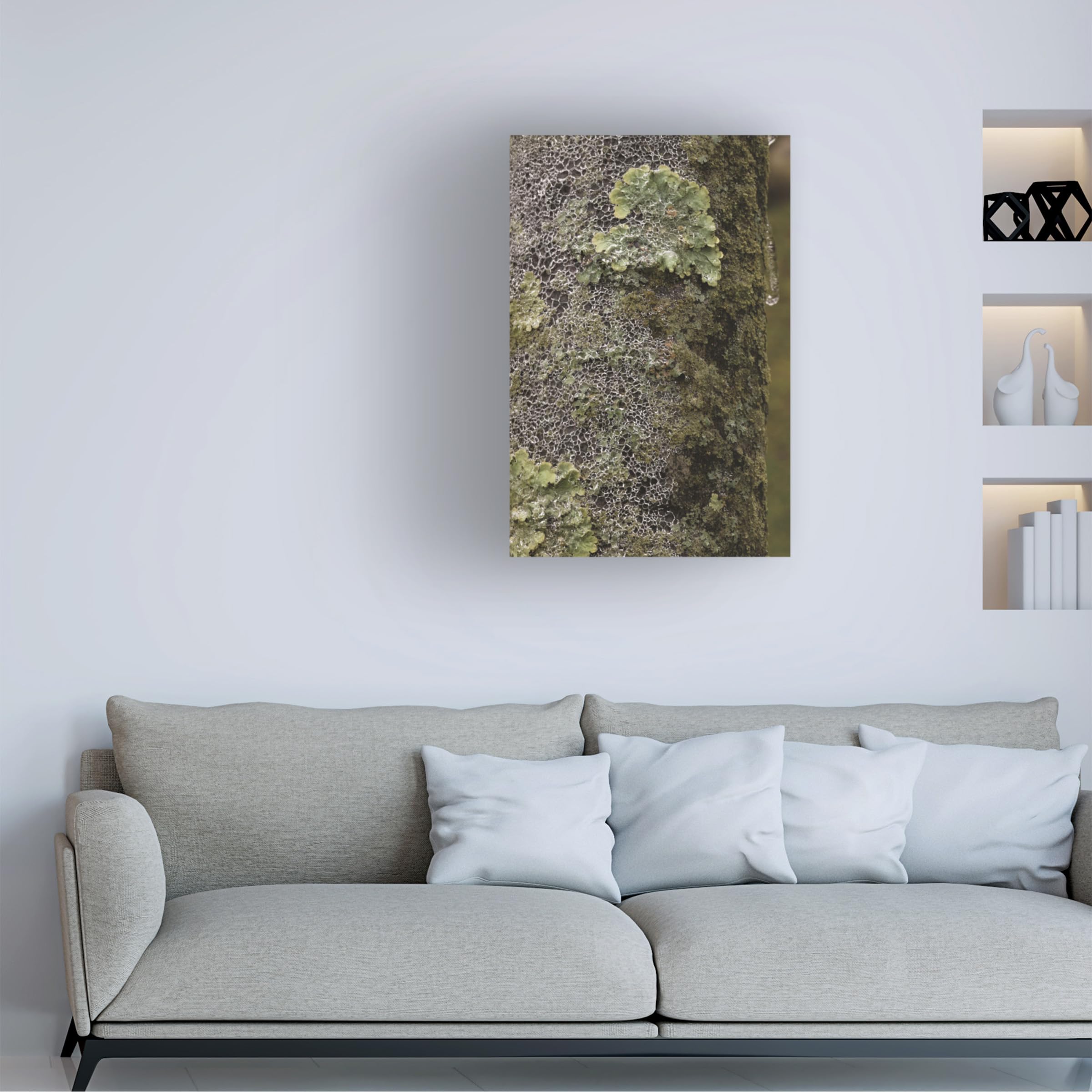 Kurt Shaffer 'Lichen In Ice' Photographic Canvas Art Print - Nature Photography Wall Decor for Living Room, Bedroom & Office