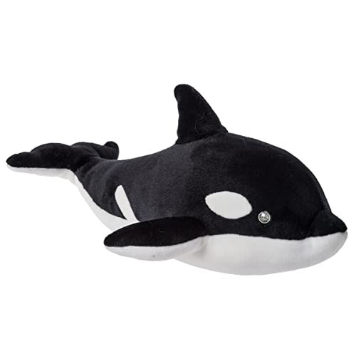 Orca Whale