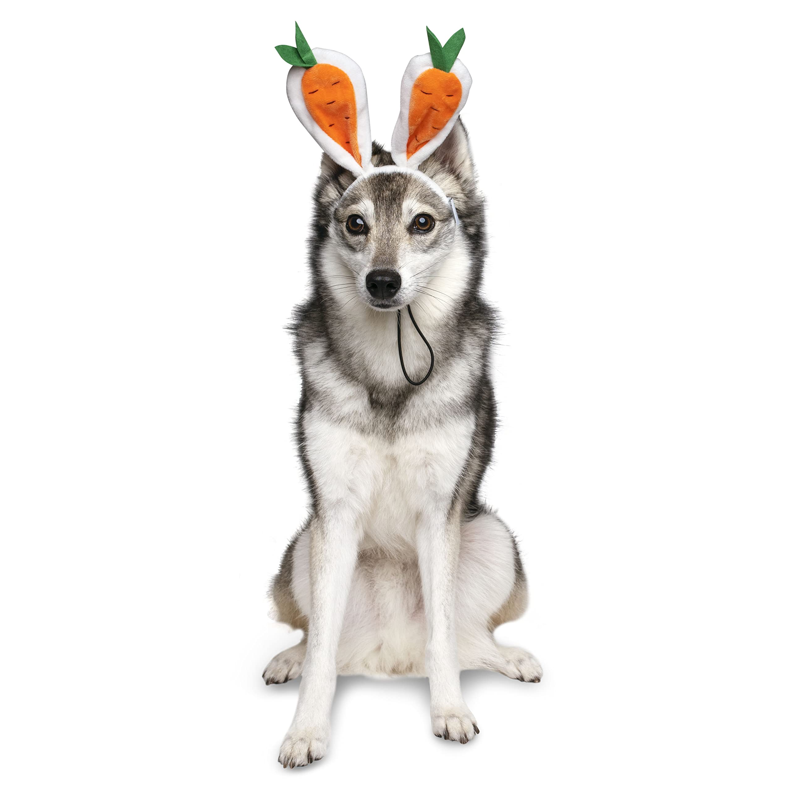 Midlee Carrot Bunny Ears Easter Dog Headband Costume for Large Dogs - Fun Pet Dress Up for Easter, Halloween & Photo Shoots