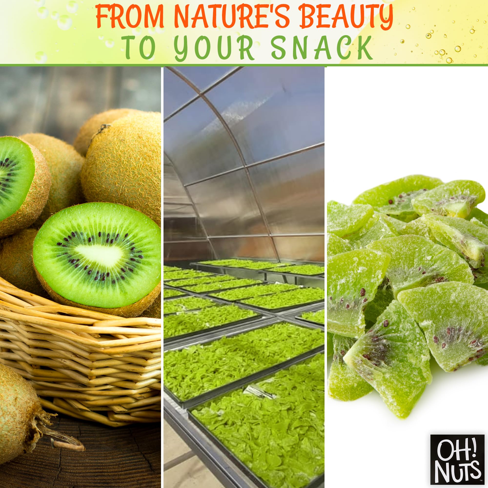 Sweetened Dried Kiwi Slices - 1 LB Dehydrated Fruit Snacks | Natural Kiwi Quarters | Resealable Freshness Zip Bag | Healthy Snack for Hiking, Office & Kids Lunch Boxes | Packed in USA by Oh Nuts