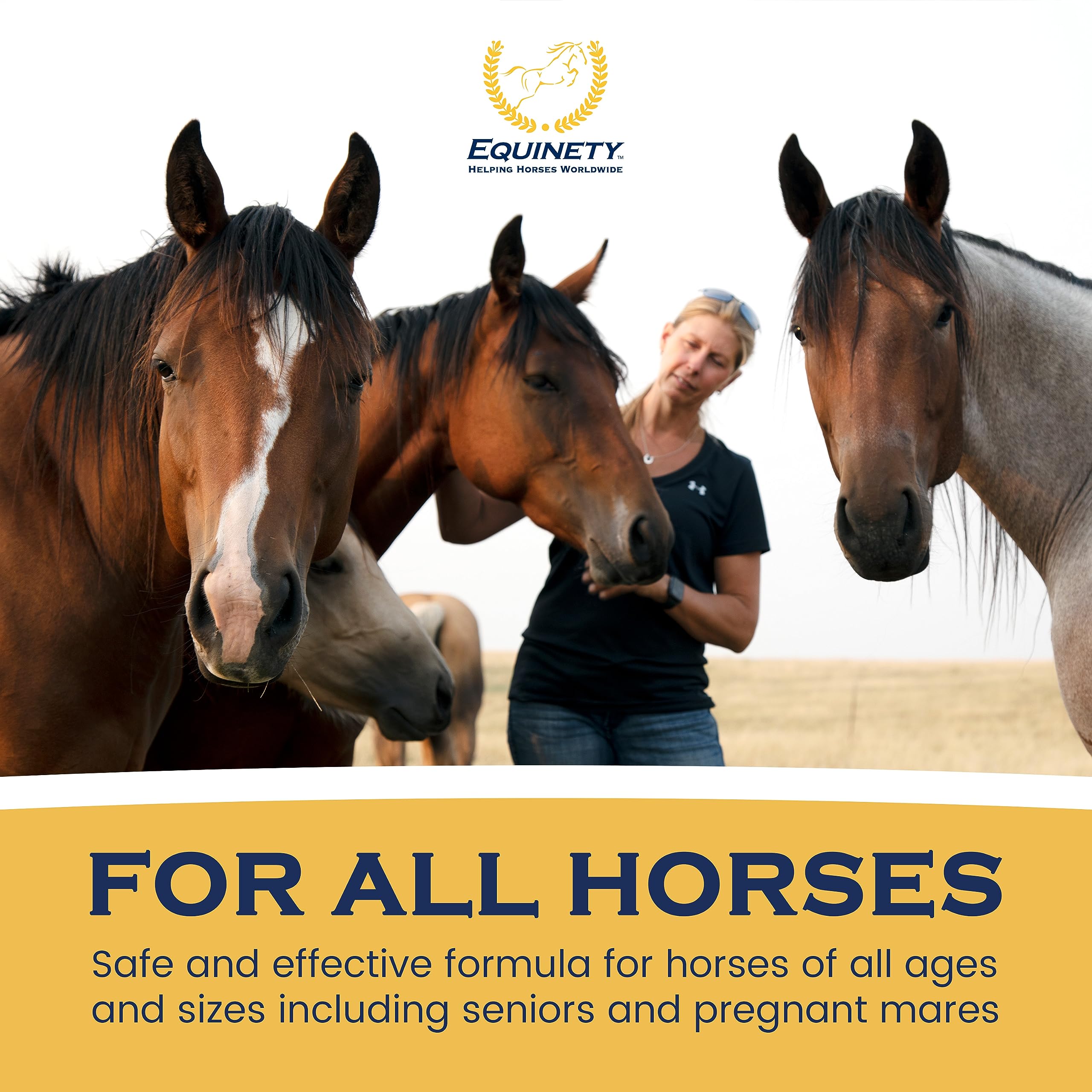 Premium OEC Horse Supplements - Omega 3 Flaxseed, Vitamin E & Coat Defense for Healthy Joints, Hooves & Shiny Coat | Vet-Approved Equine Supplement for Performance Horses & Senior Horses - Ideal for Training, Racing & Daily Care