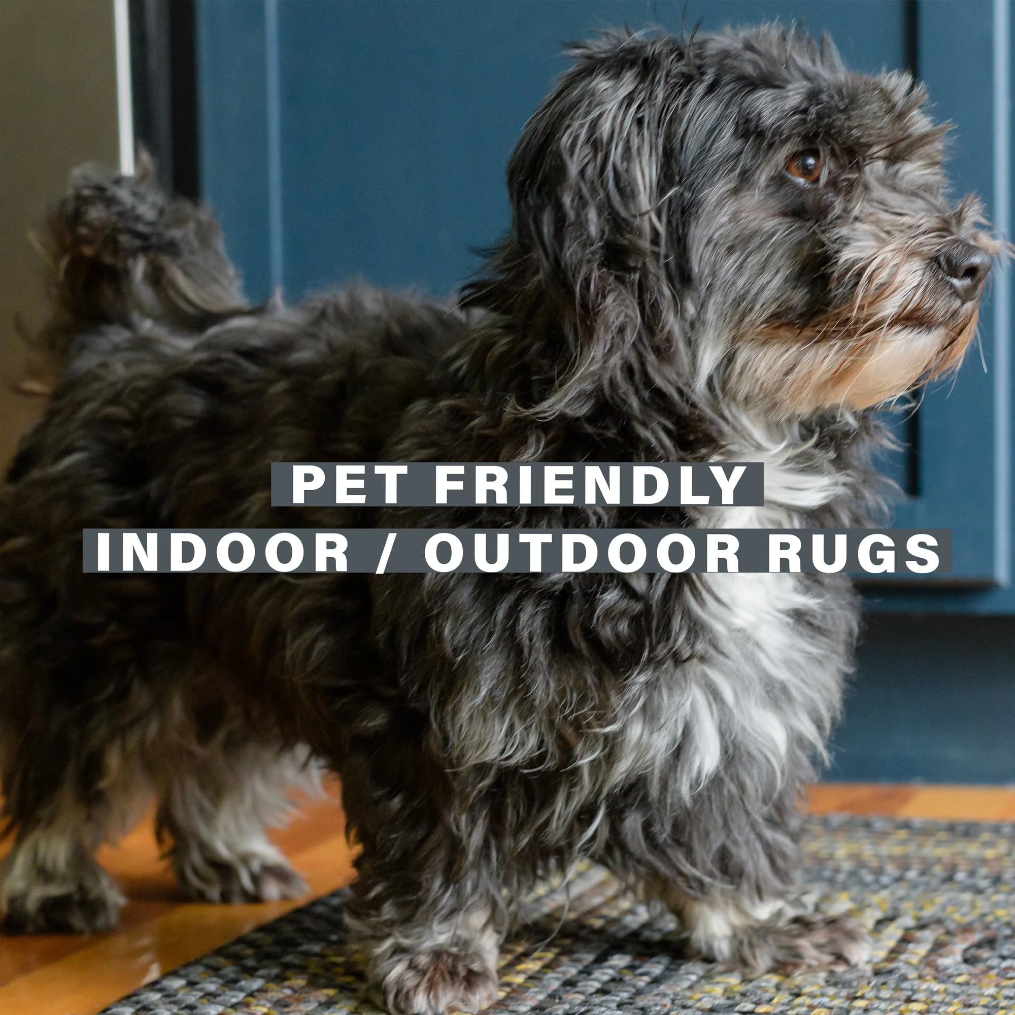 Premium Black Forest Braided Rug 4x6 – Pet Friendly Indoor Outdoor Rug for Kitchen, Bathroom, Entryway – Non-Slip & Durable for High Traffic Areas