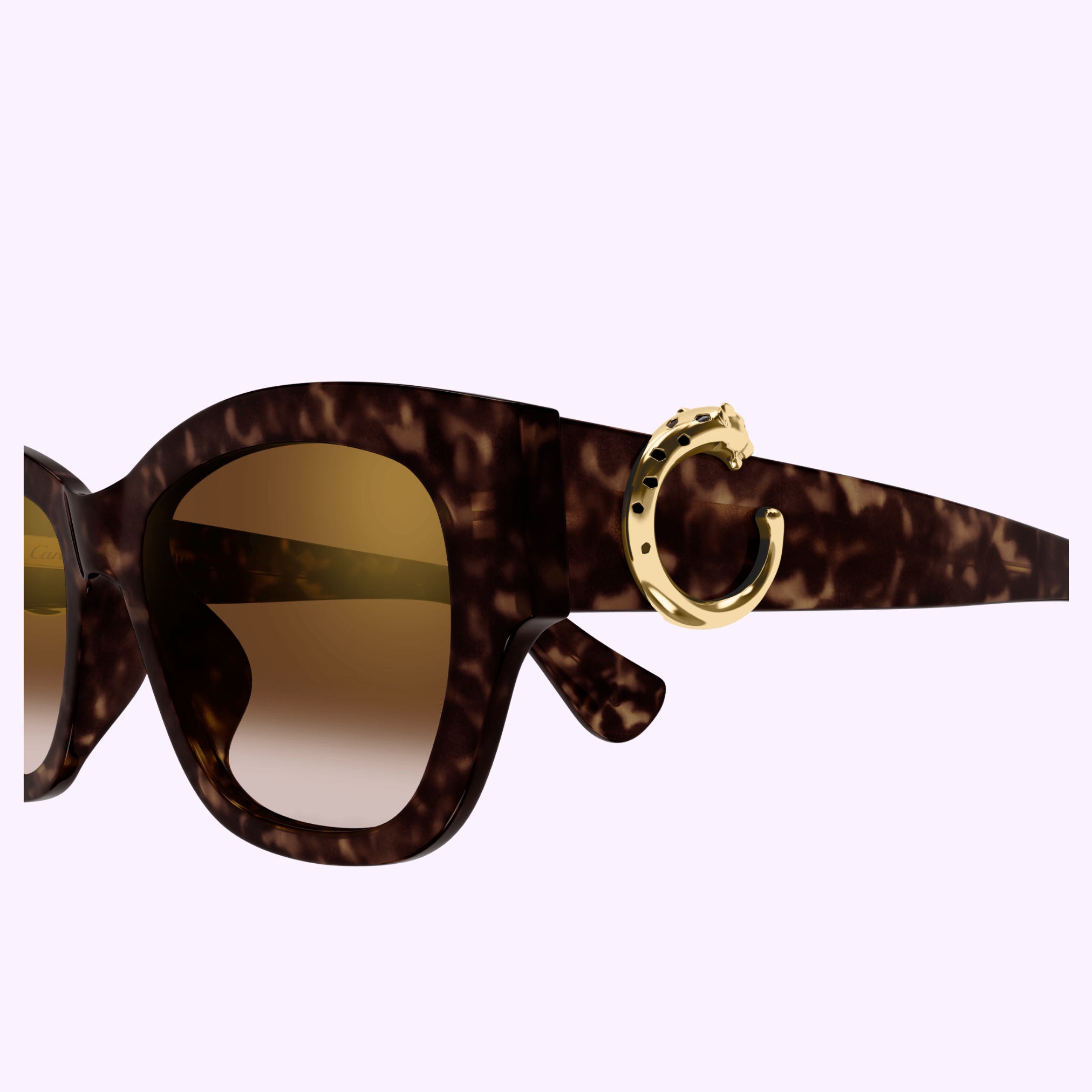 Cartier CORE RANGE CT0548SA 002 Sunglasses for Women - 55mm UV Protection Luxury Designer Shades (UPC 843023181383) | Perfect for Outdoor Activities, Beach Vacations & Fashion Statements