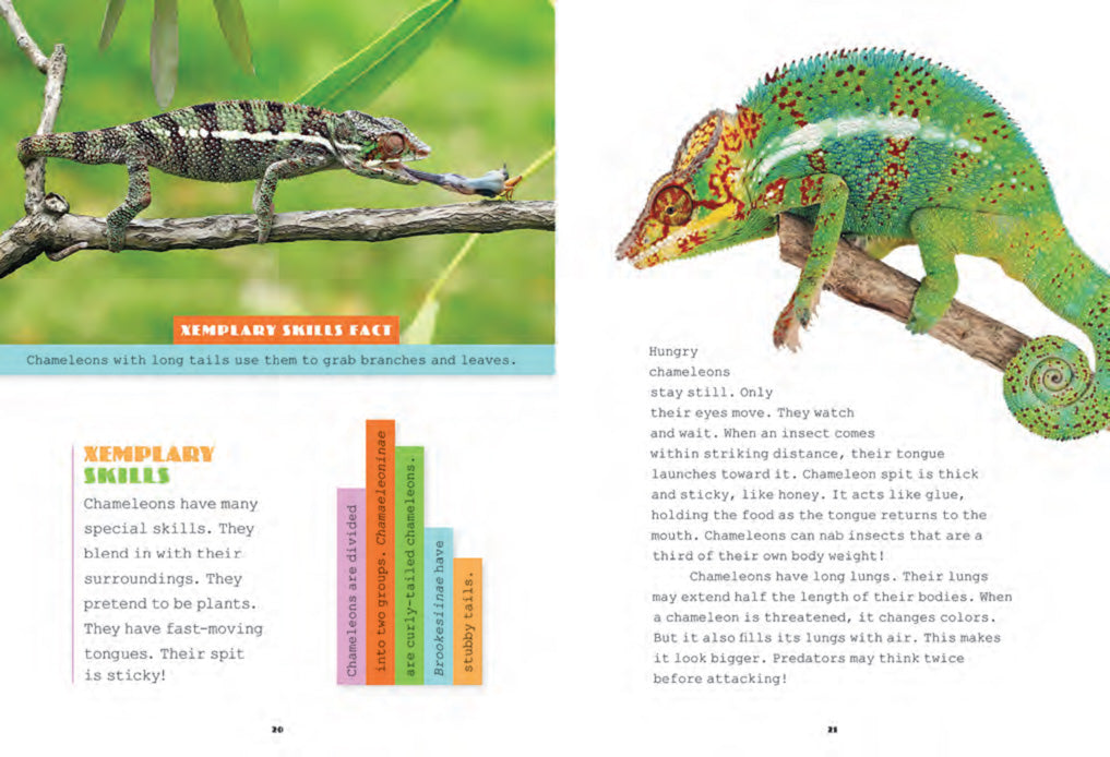 Chameleons Book - ISBN 9781640260795 - Perfect for Reptile Lovers & Science Education