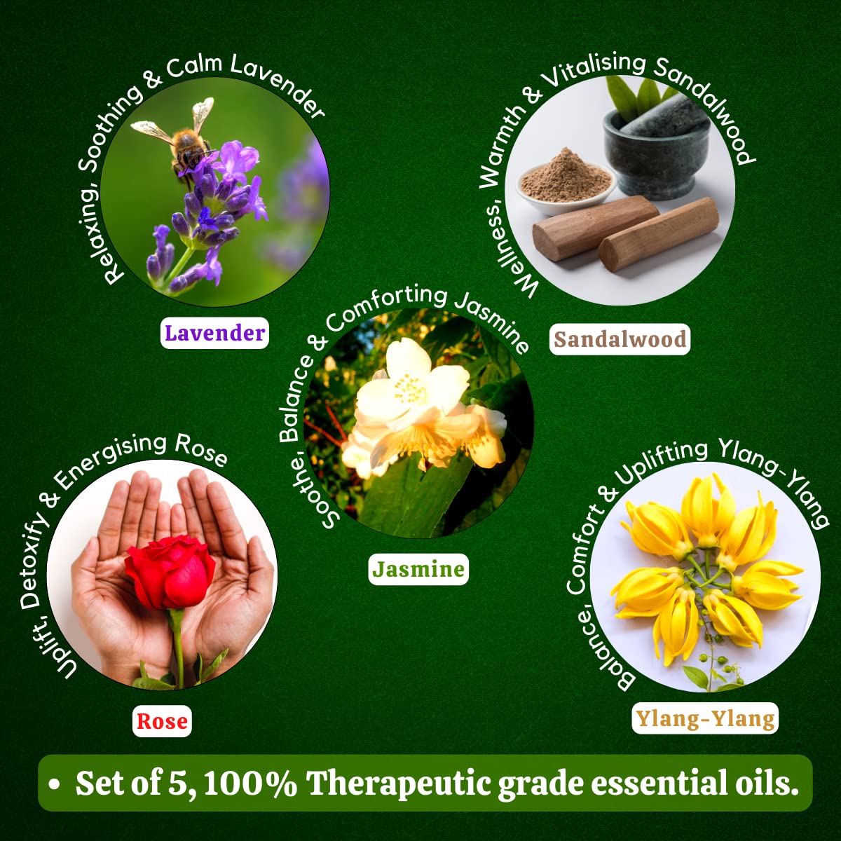 Premium Essential Oils Set - 100% Pure Lavender, Sandalwood, Jasmine, Rose & Ylang Ylang for Aromatherapy, Massage, Diffuser & Relaxation - 5 Bottles (10ml Each) - Perfect for Home Spa, Yoga & Stress Relief