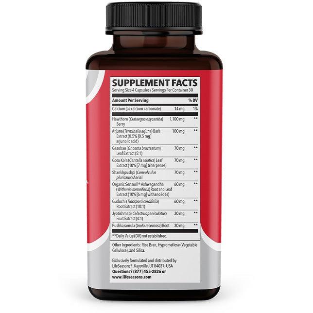 LifeSeasons B/P Stabili T Supplement - Supports Healthy Blood Pressure & Circulation - Natural Herbal Formula for Cardiovascular Wellness - Perfect for Daily Use at Home or Work