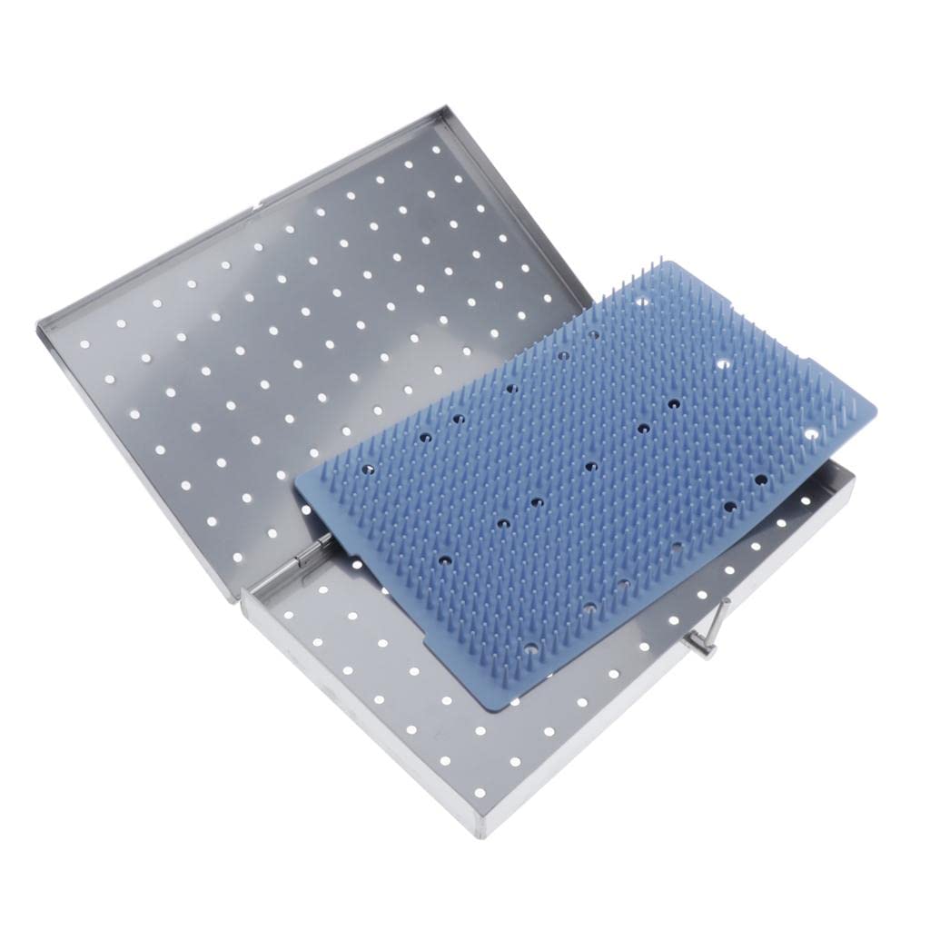 Jojomis Pro Instruments Silicone Disinfection Box Sterilizer Tray - Large UV Sanitizer for Dental Tools, Jewelry & Small Items (Silver & Blue) | Portable Germ-Free Storage for Home, Travel & Medical Use