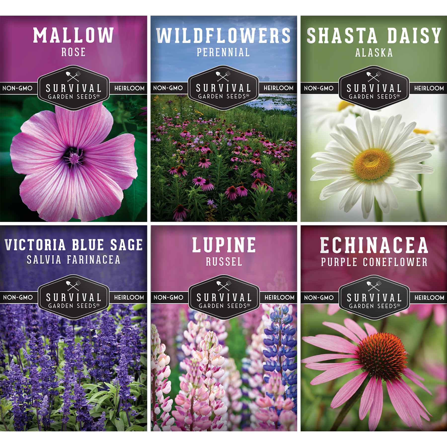Perennial Flowers Mix - Shasta Daisy, Echinacea, Russell Lupine, Rose Mallow & Blue Sage Wildflower Seeds | Long-Lasting Garden Blooms for Borders, Pollinator Gardens & Landscaping